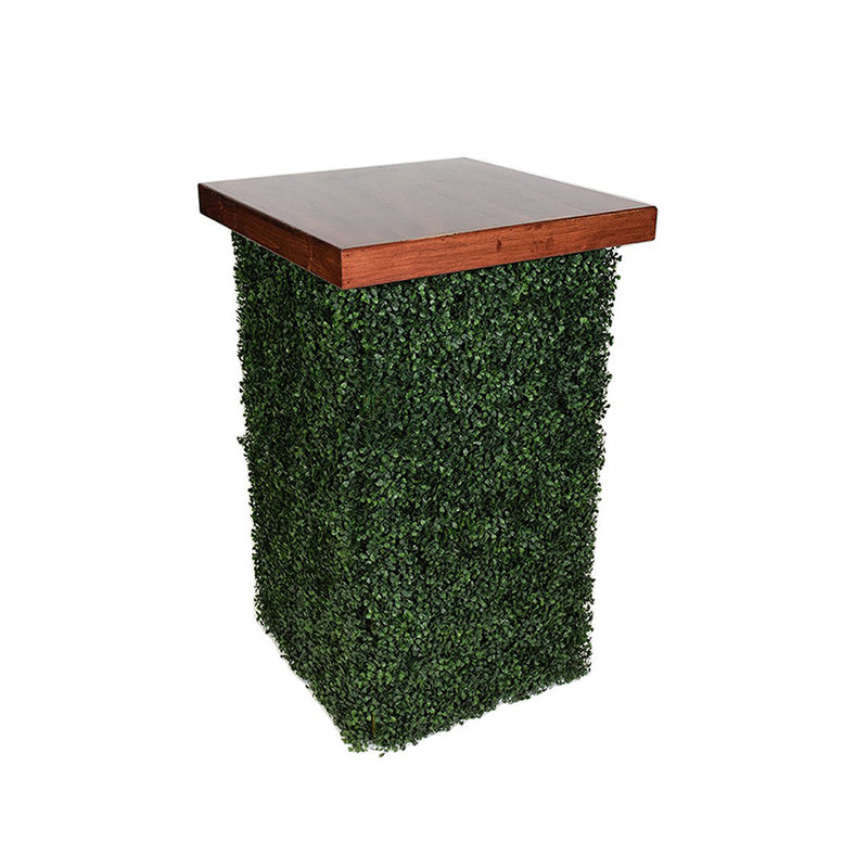 Hedge Cocktail Table with Tuscan Top