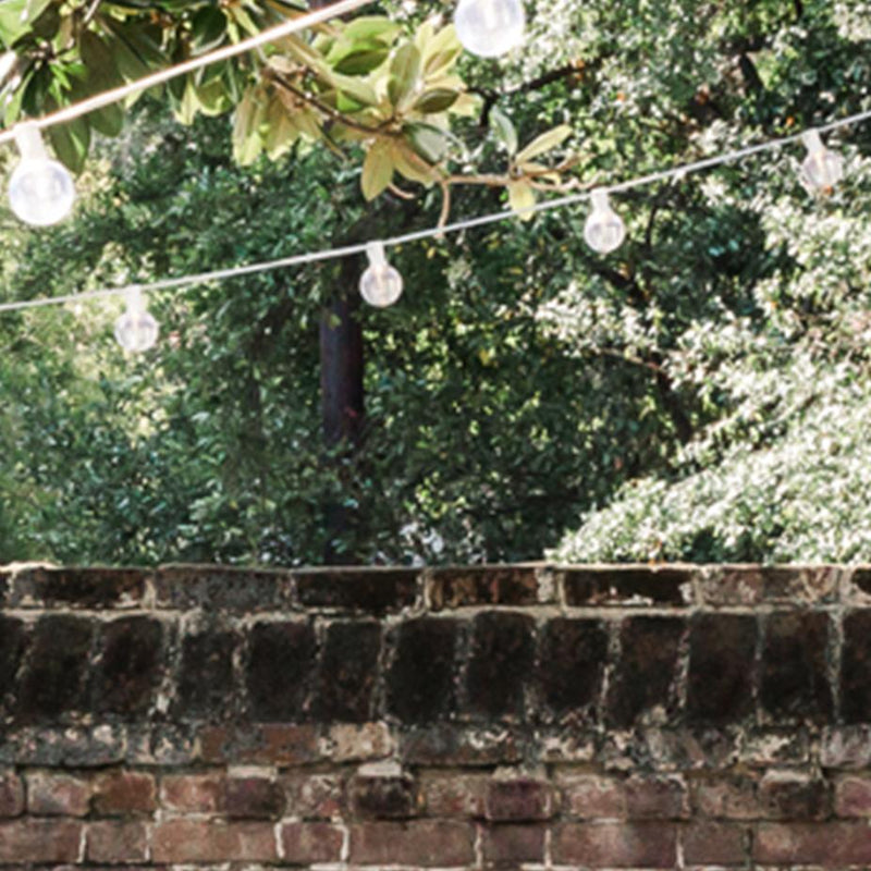 A string of lights is set up against a background of trees.