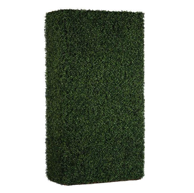 Boxwood Wall