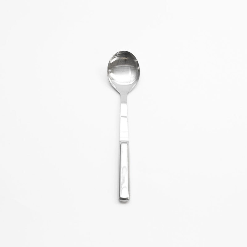 Stainless Serving Spoon